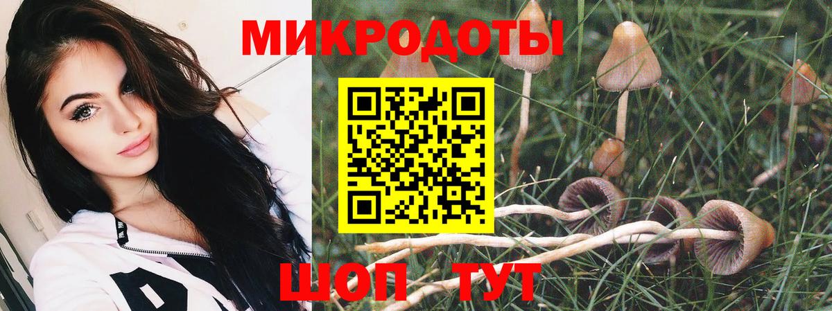 Псилоцибиновые грибы мухоморы Лениногорск